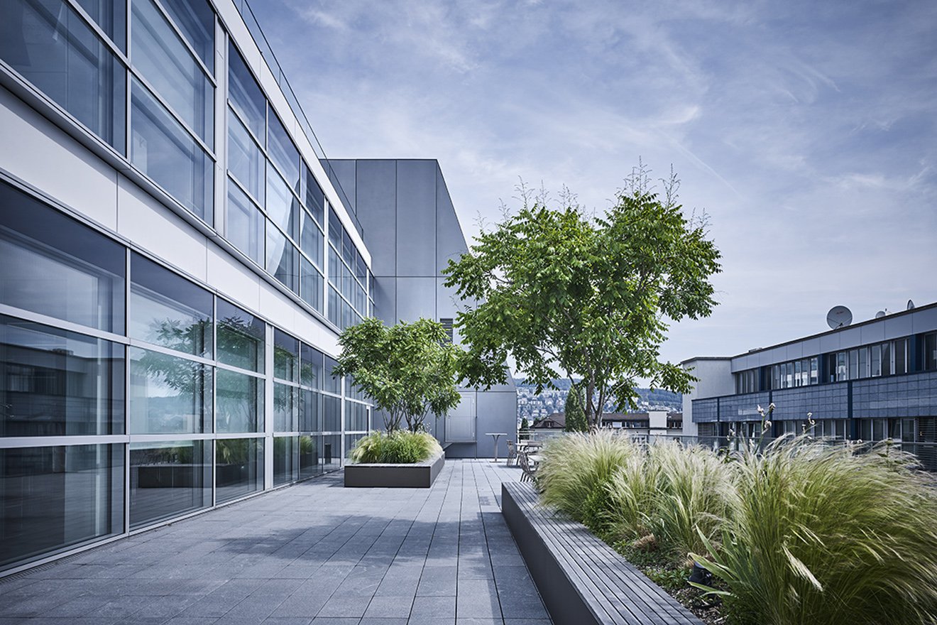 Blühende Terrassen der Kommunikation