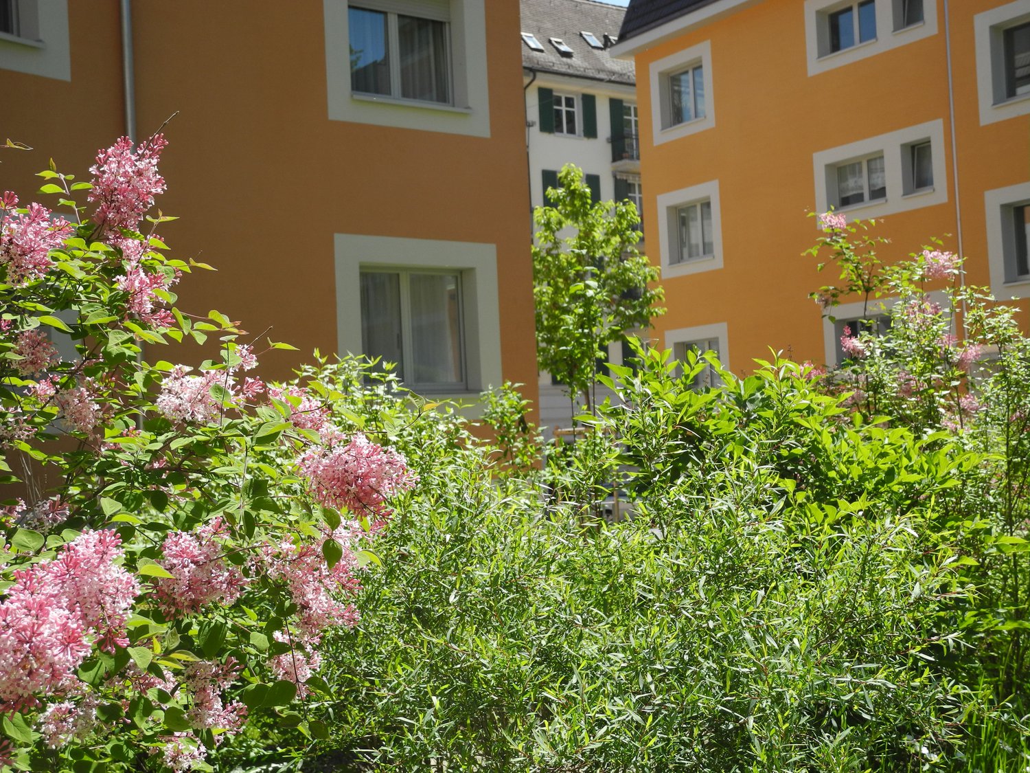 Bildschirmfoto 2024-01-02 um 20.28.31.png