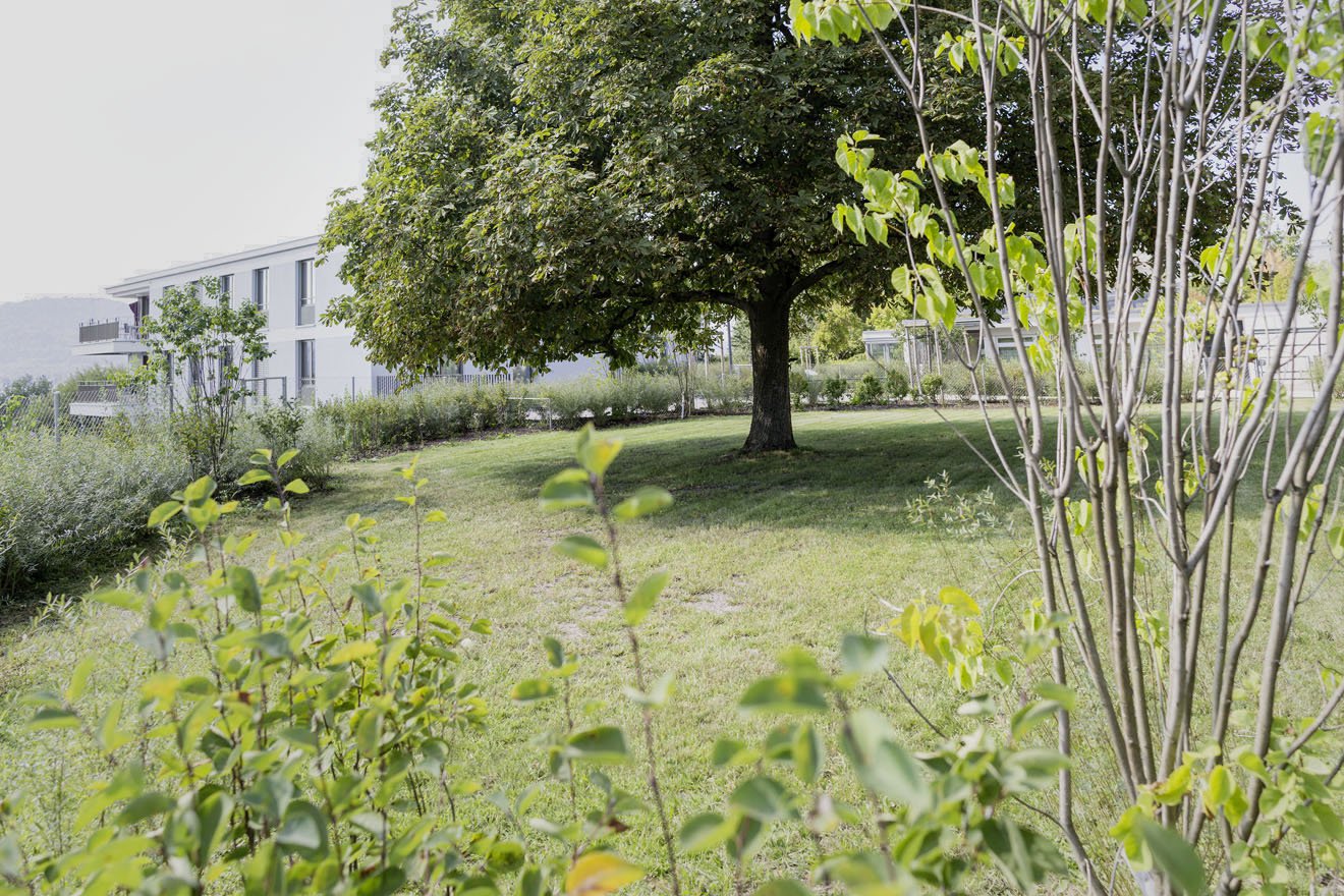 Offene Landschaft für Menschen mit Epilepsie
