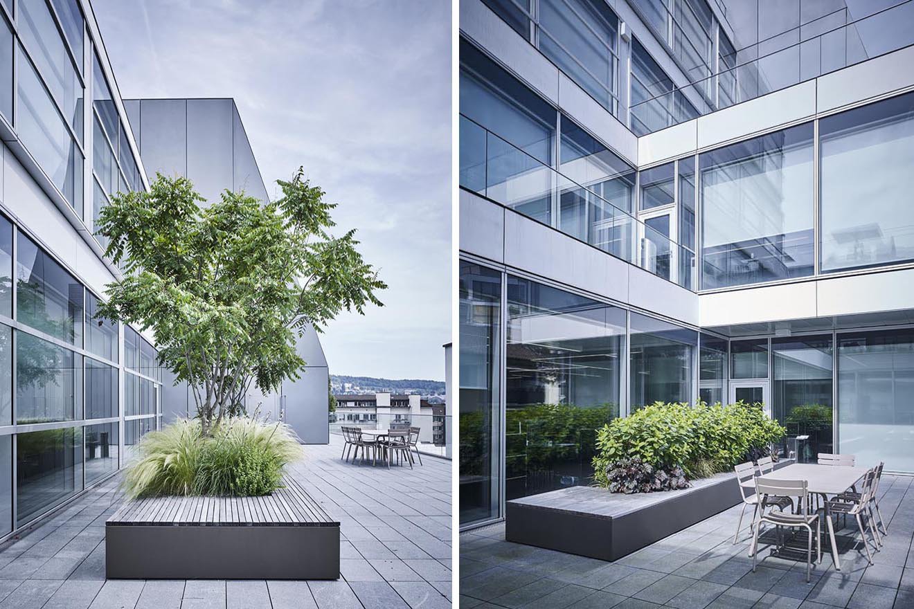 Blühende Terrassen der Kommunikation