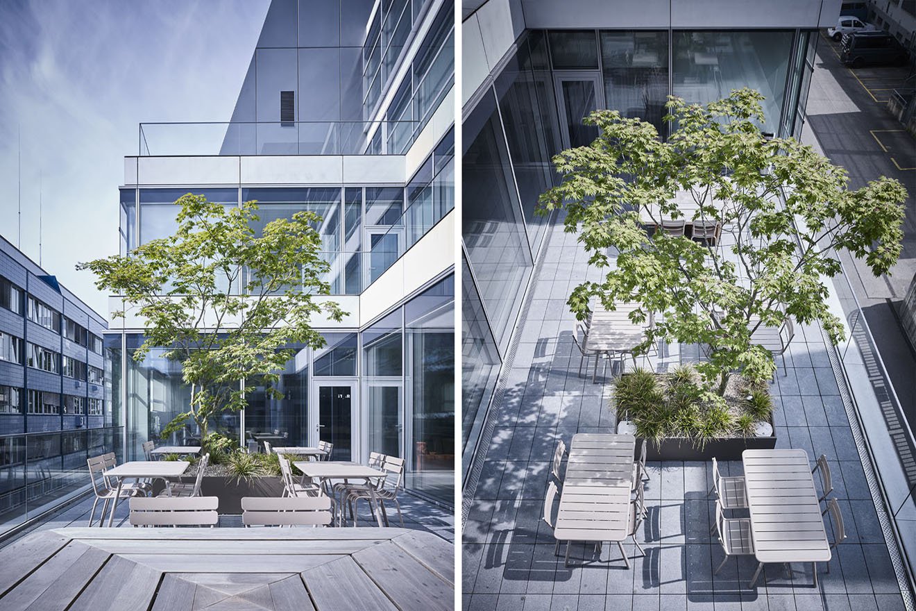 Blühende Terrassen der Kommunikation