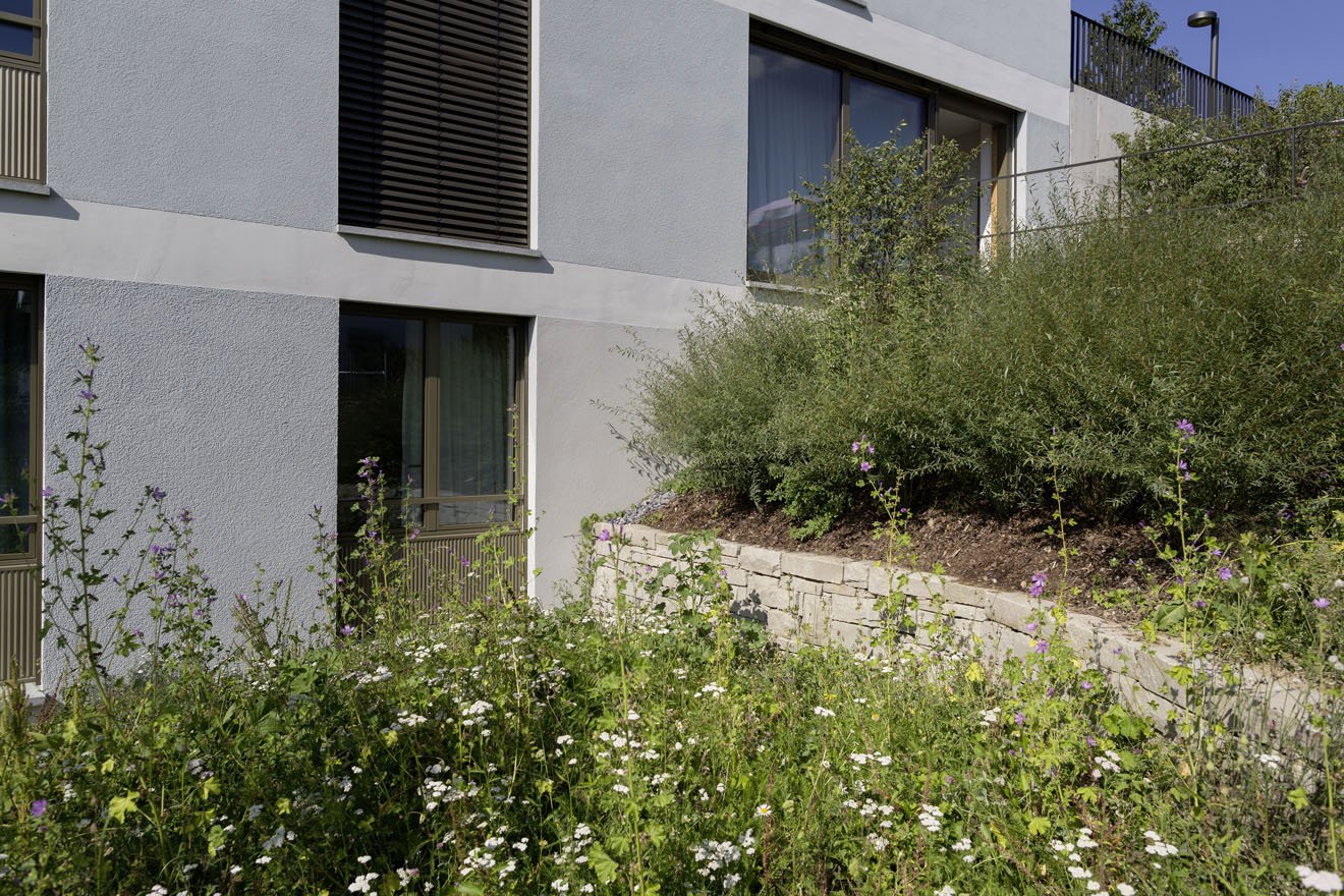 Offene Landschaft für Menschen mit Epilepsie