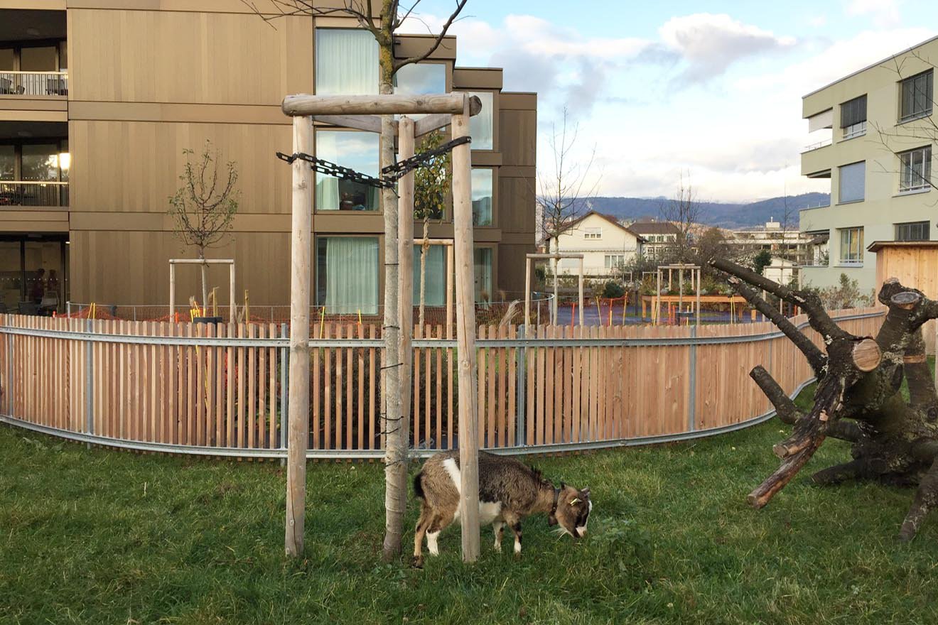 Obsthain und Tiergarten im Alterszentrum