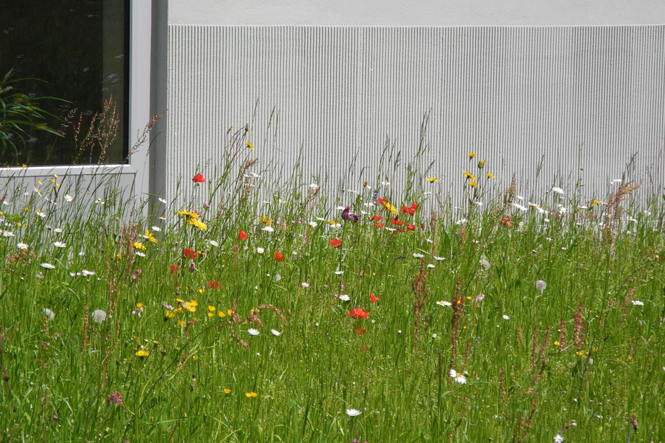 Obsthain und Tiergarten im Alterszentrum