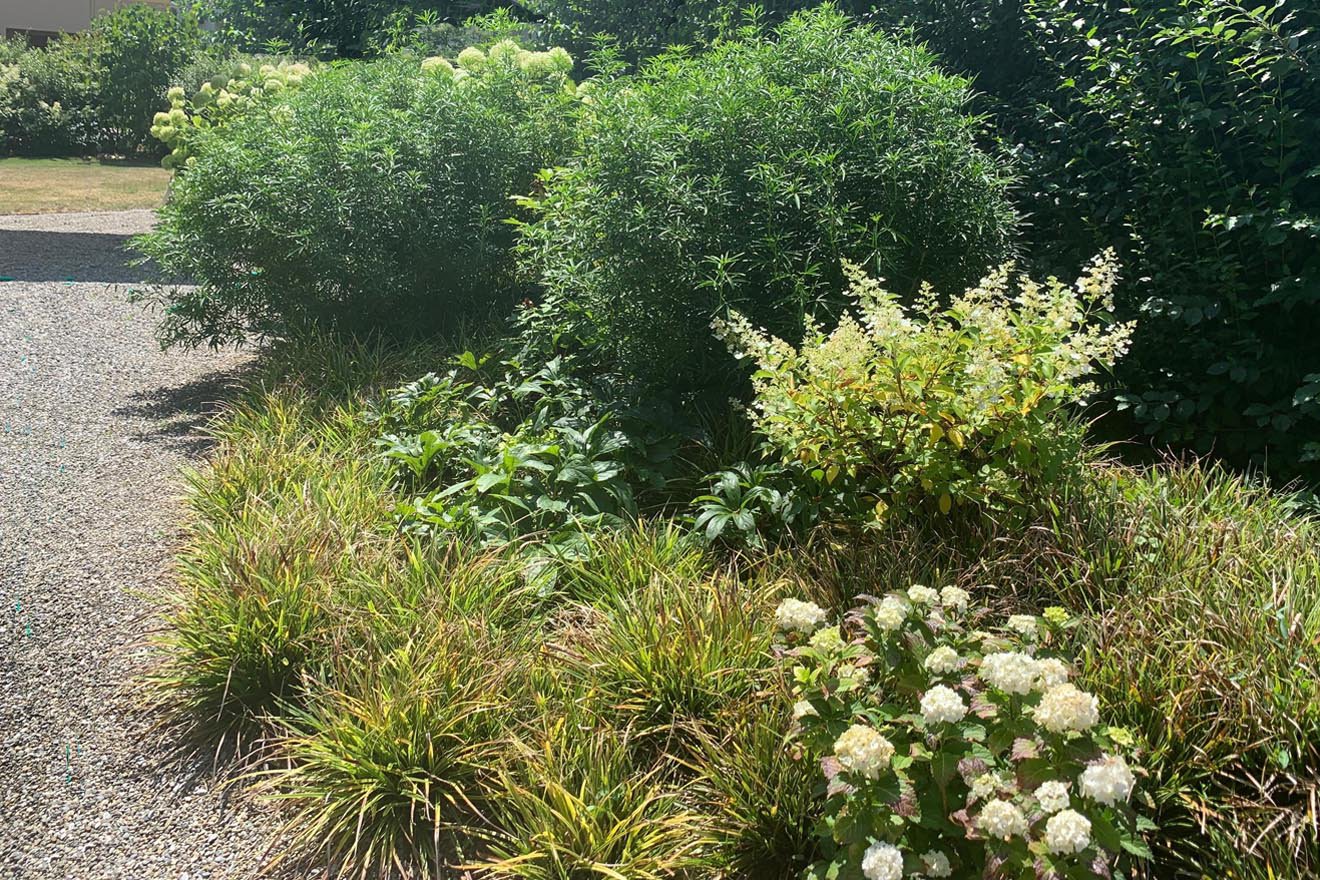 Garten für vier Freunde