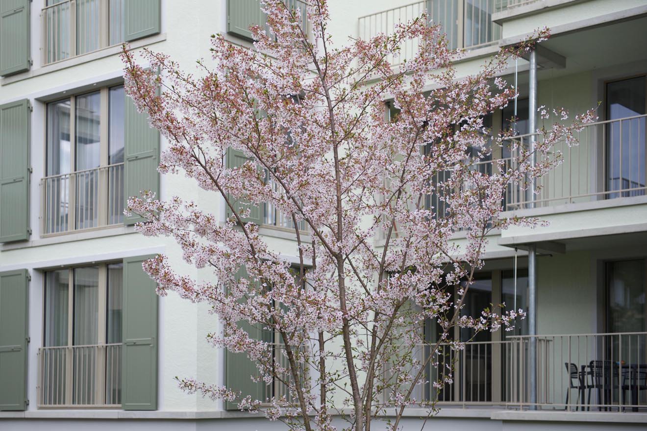 Wohnen wie damals im Kirschenhain