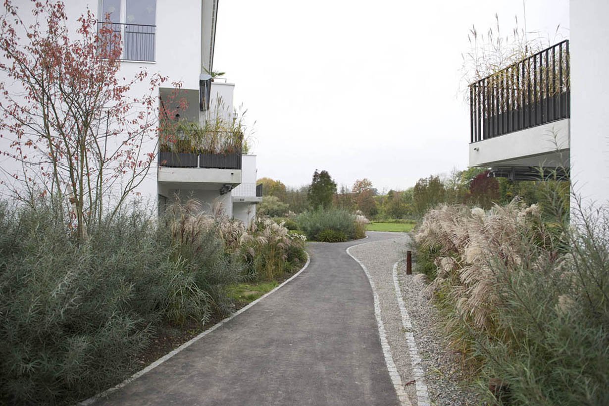 Fliessende Landschaft an der Limmat