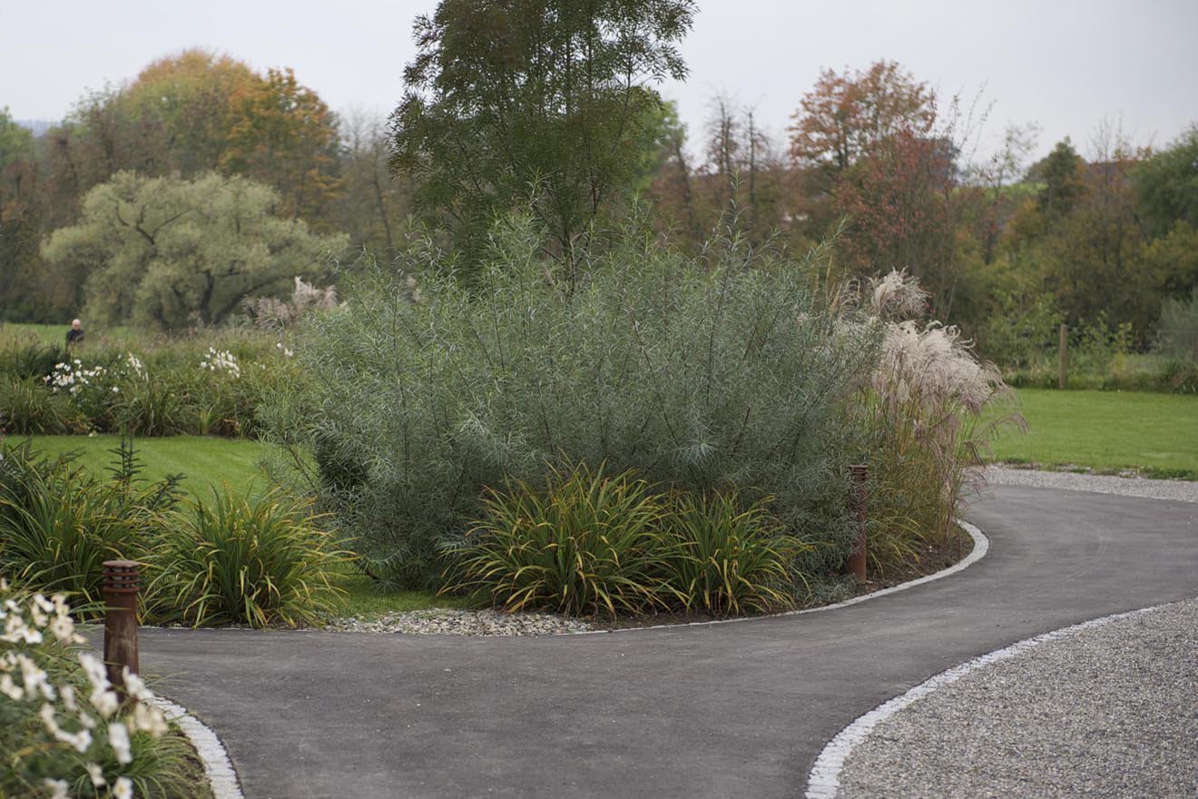 Fliessende Landschaft an der Limmat