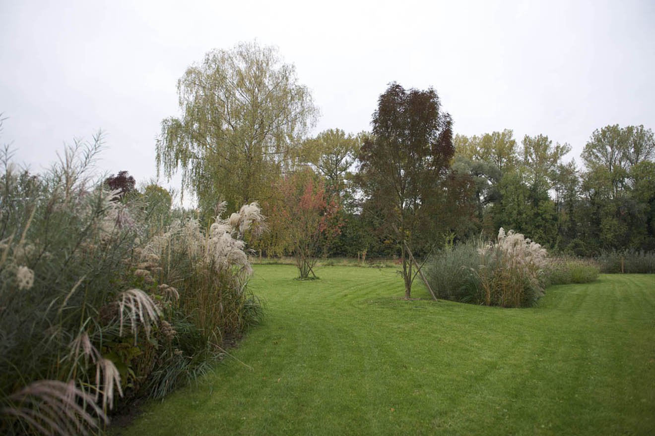 Fliessende Landschaft an der Limmat