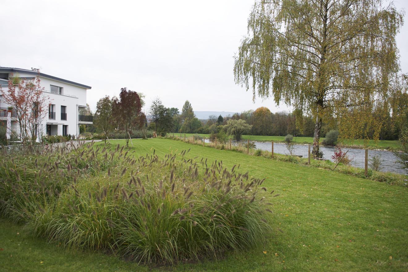 Fliessende Landschaft an der Limmat