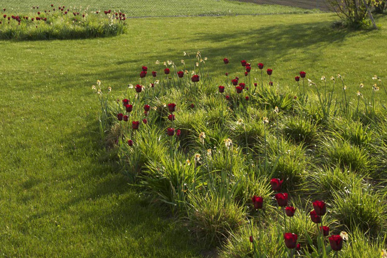 Fliessende Landschaft an der Limmat