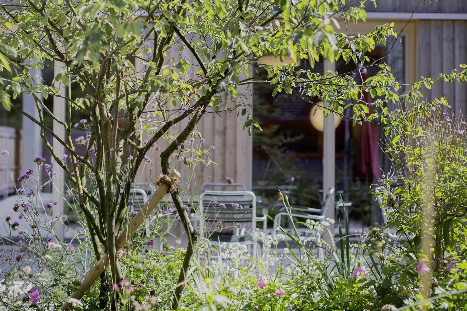 Oase für Menschen mit Beeinträchtigung