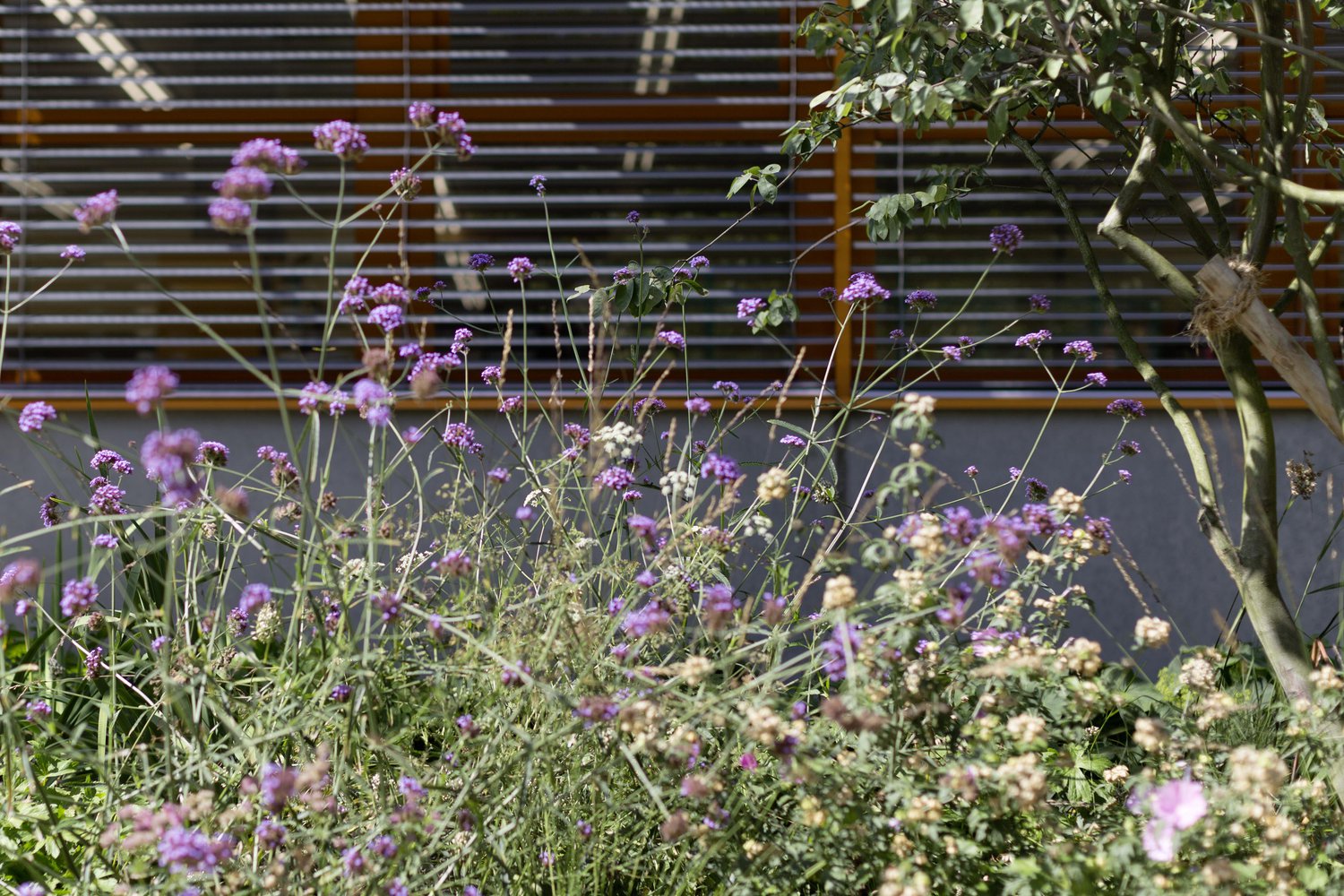 Oase für Menschen mit Beeinträchtigung