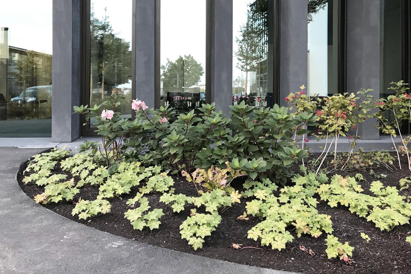 Üppiges Gartenbild im Maschinenbau-Areal