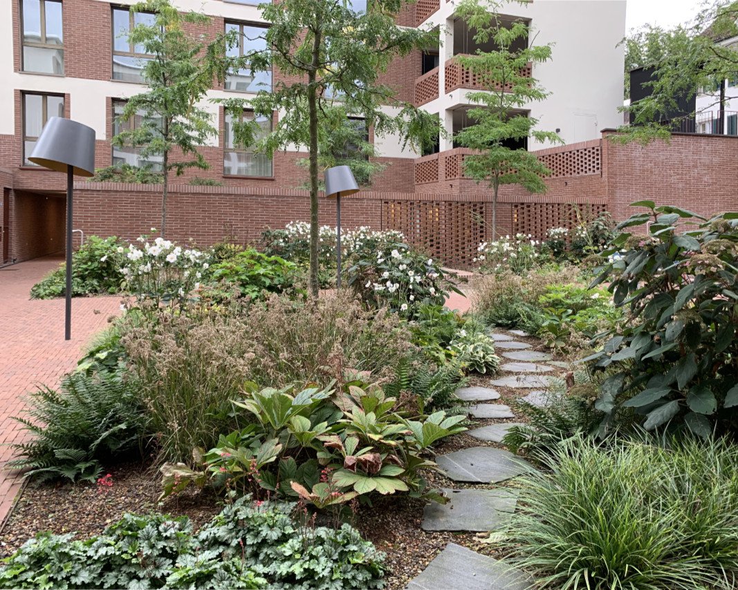 IMG_9303 Kopie 2.jpg