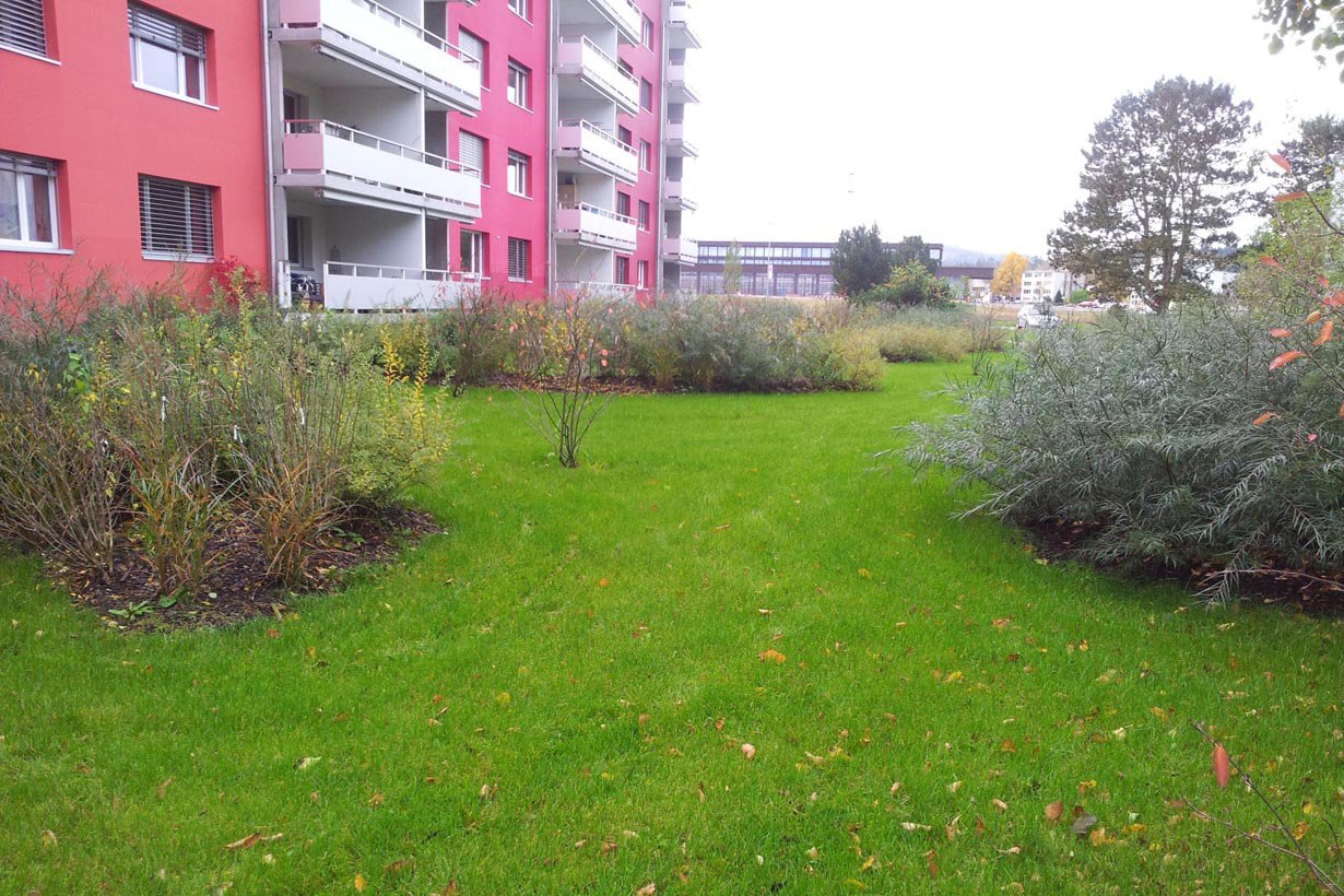 Grosser Massstab mit Eichentisch und Mammutbaum